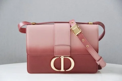 GAK BAGZ - Dior Bags - 5570