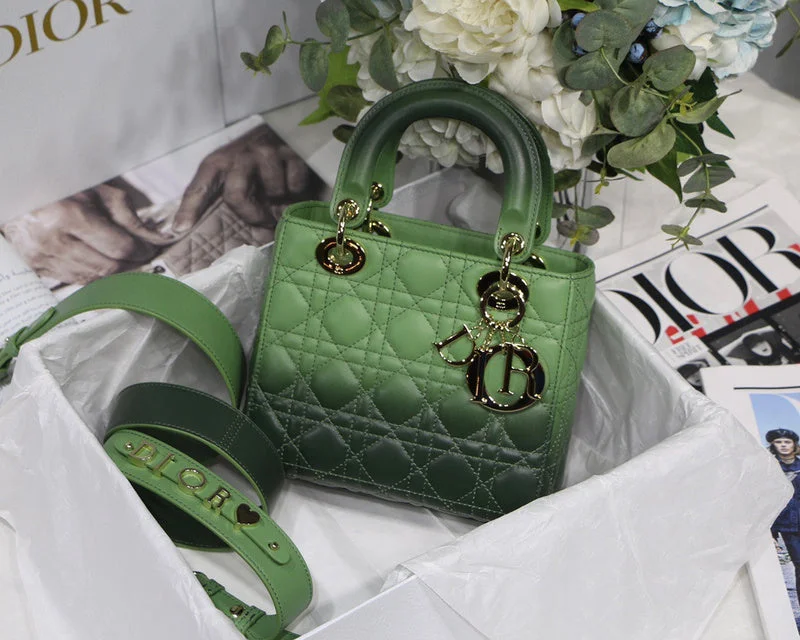 WF - Dior Bags - 558